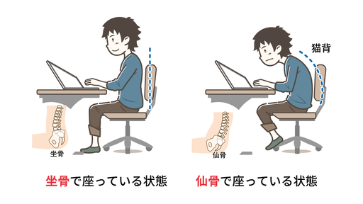 ¹üÈפη¹¤¤È»ÑÀª¤Î´Ø·¸