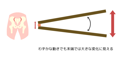 わす?かな動きて?も末端て?は大きく見える