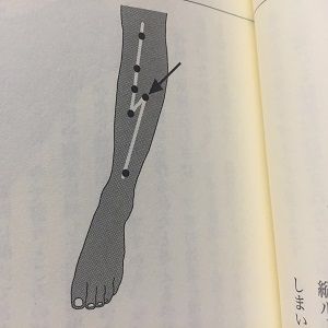 豊隆の蛇行