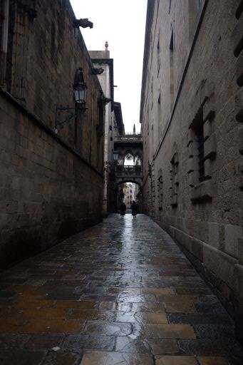 DSCF6875_512