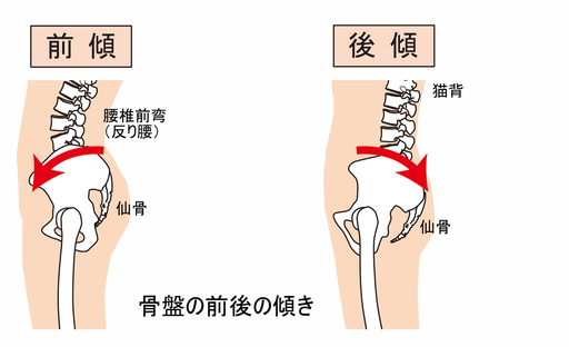 ¹üÈפÎÁ°¸å¤Î·¹¤