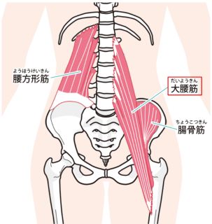 大腰筋