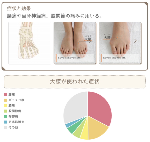 �ĥܥͥåȡ������