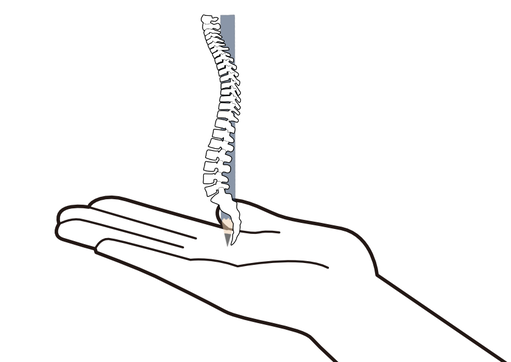 ¼ê¤ÎÊ¿¤ÇÀÔÃì¤È±ôÉ®¤òΩ¤Æ¤ë