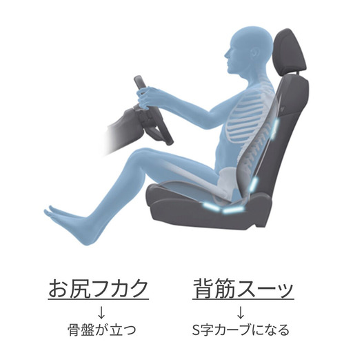 ¥Þ¥Ä¥À¥·¡¼¥È