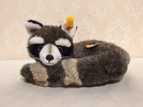 シュタイフ社 丸まりアライグマ・Raggy : よきべあ テディベア