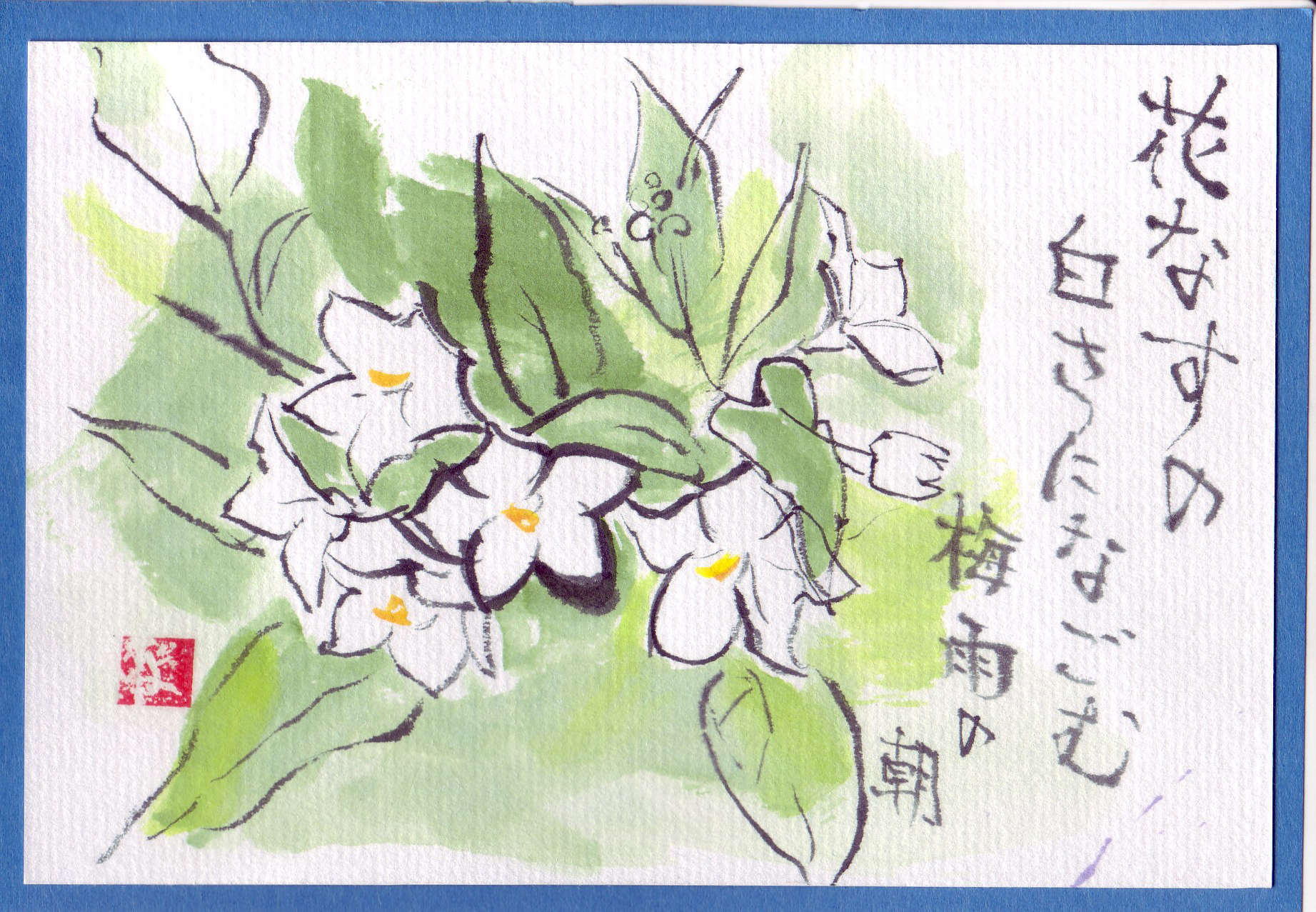 白なす 趣味の絵手紙ブログ 白なす 趣味の絵手紙ブログ