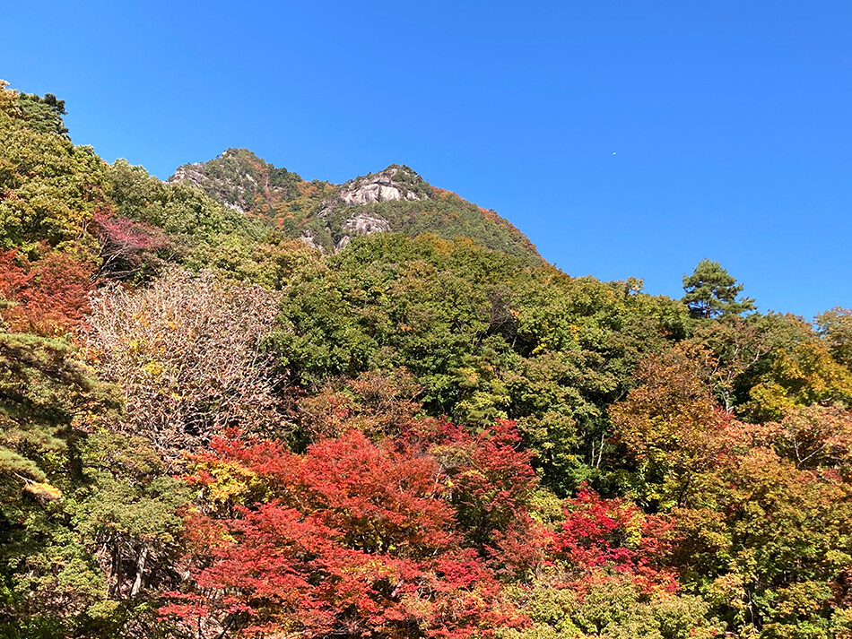 08昇仙峡ライン