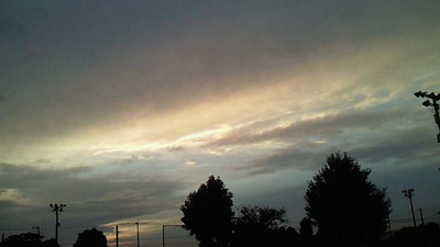 NEC_2330