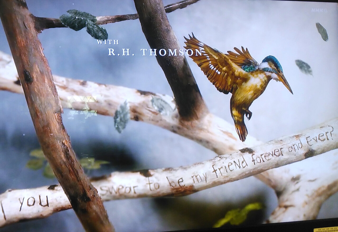 今 Nhkドラマ アンという名の少女 に夢中 0 ヨウコの川歩き