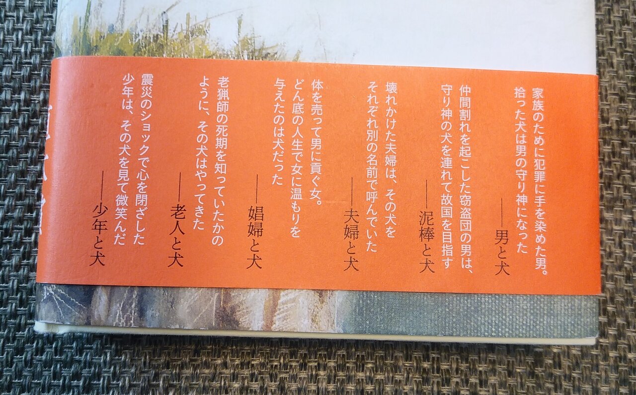 あの 不夜城 の馳星周が書いた直木賞作品 少年と犬 に泣かされた T T ヨウコの川歩き