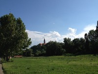 IMG_7573 (800x600)