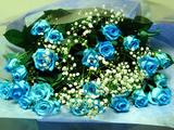 bluerose2