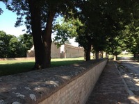 IMG_7557 (800x600)