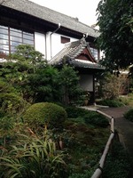 IMG_0922 (480x640)