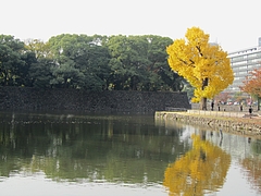ĵ浪üΥ祦