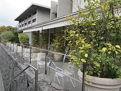 �ƥ饹���ͻ�