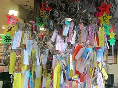 �غ����դȼ�ͼ��û����