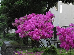 �ر�����ΤĤĤ���