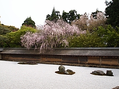 ζ�»��Τ������