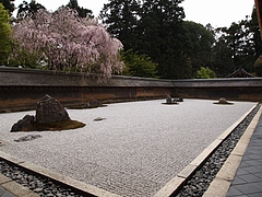 ζ�»�������