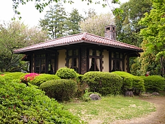 ���չ��á�