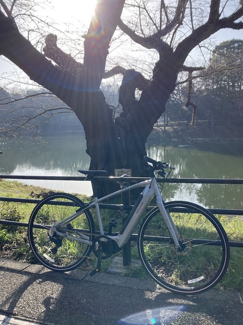 クルーズ5080