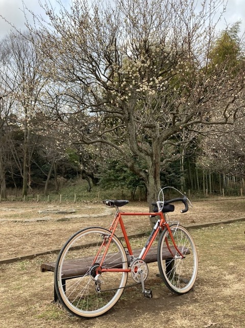 試乗車グラベル２