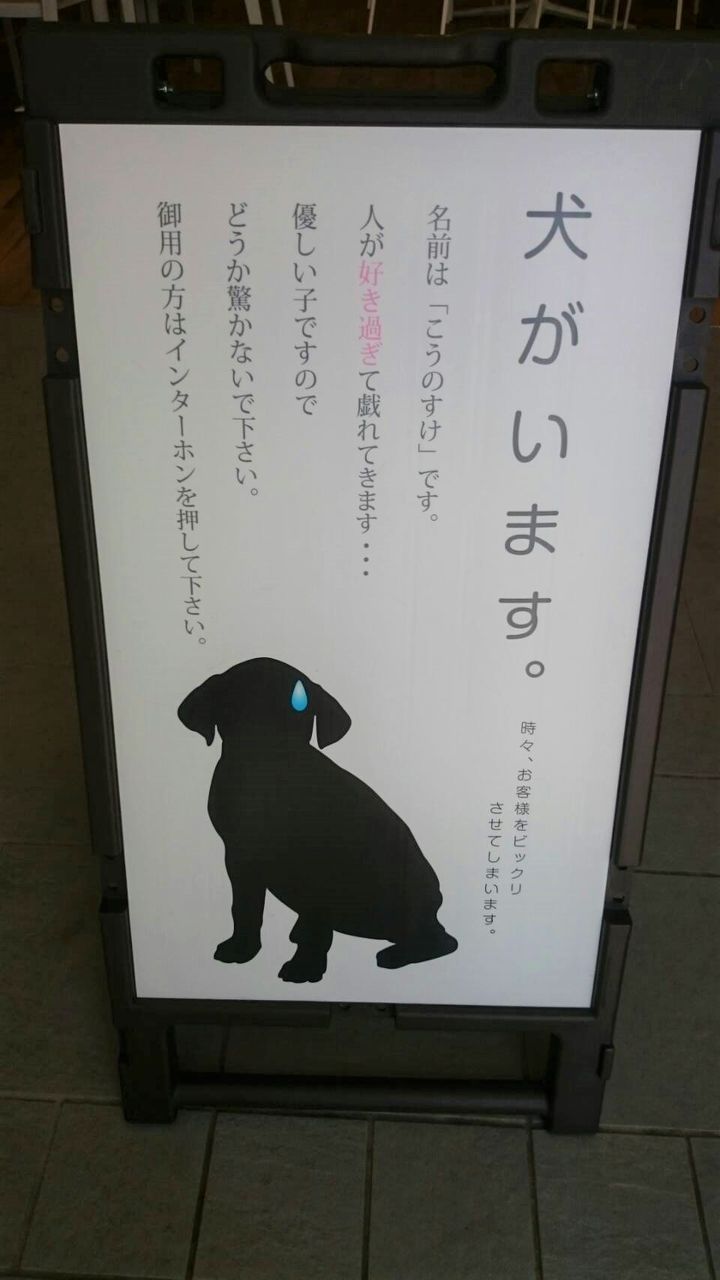今更ですが 犬がいます えいこうけんせつです