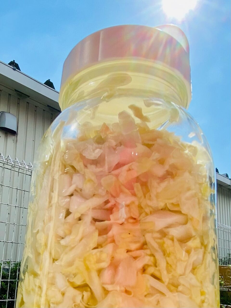 お家で簡単マイナスの還元水の作り方 よろこび企画 ゆめの舞