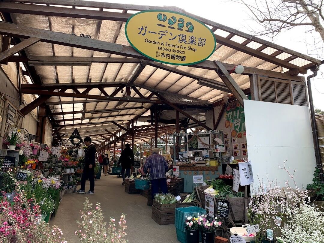 いときょう先生と木村植物園 よろこび企画 ゆめの舞