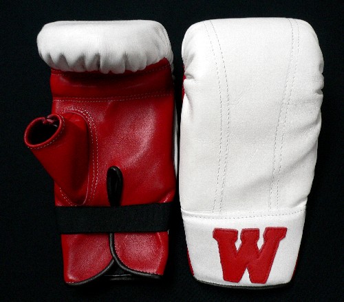 スーパーウィン パンチンググローブ SUPER WIN パンチンググローブ M