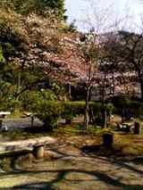080326_1507~001
