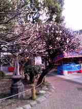 ÅòÅçÅ·¿À£·