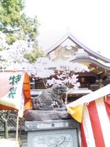 ÅòÅçÅ·¿À£¹