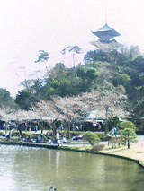 080326_1428~002