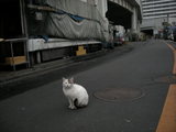 DSCN0035