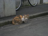 DSCN0034