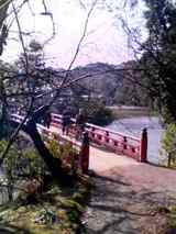 080326_1508~001