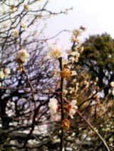 ÅòÅçÅ·¿À£¸