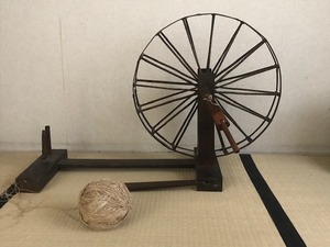 IMG_5405