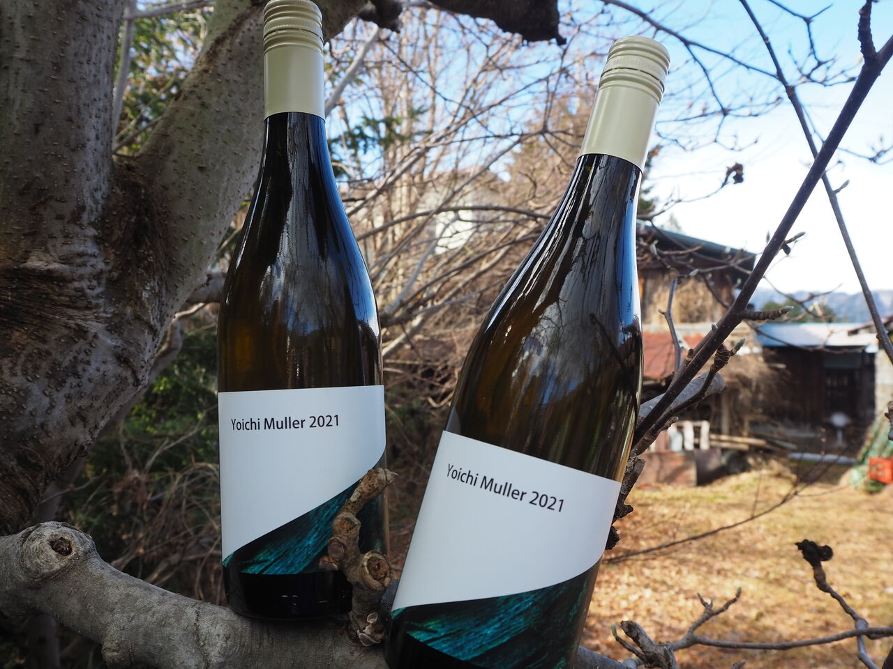 Yoichi Muller 2021」発売「山田堂（余市）」様 : 横川商店 蔵日記