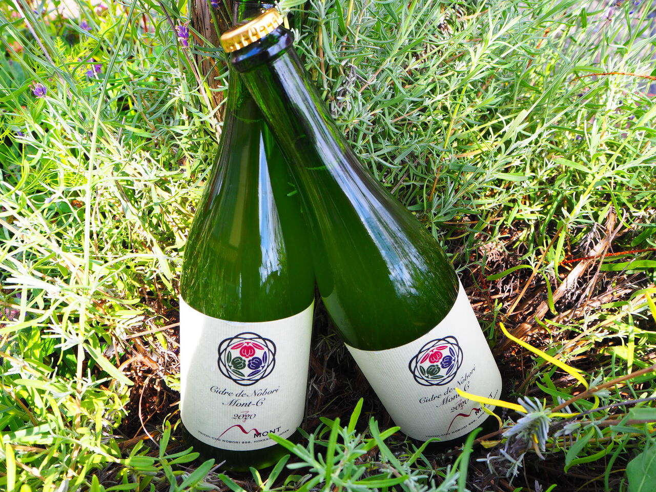 シードル 2021年 余市産 2本セット ドメーヌ タカヒコ&ドメーヌ モン