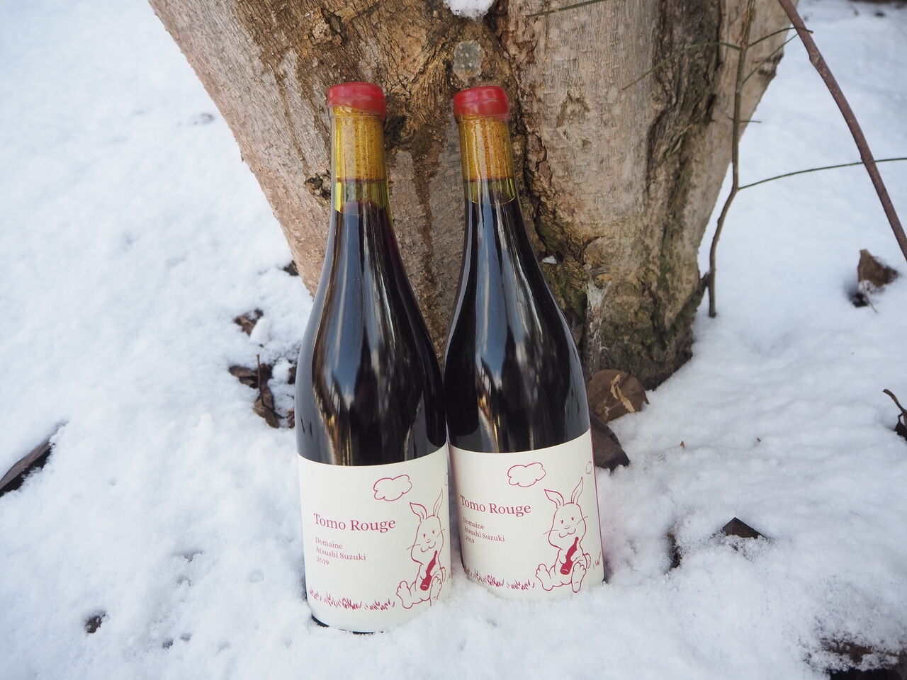 ドメーヌ アツシスズキ トモ ルージュ 2019 ドメーヌアツシスズキ トモ