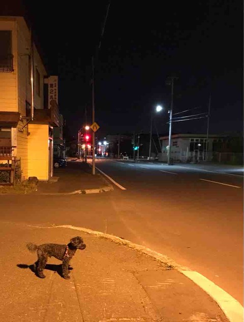 FullSizeRender