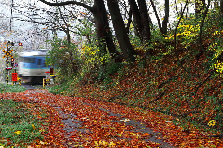 北しなの 紅葉