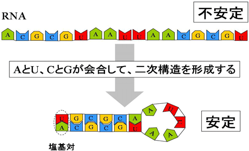 livedoor