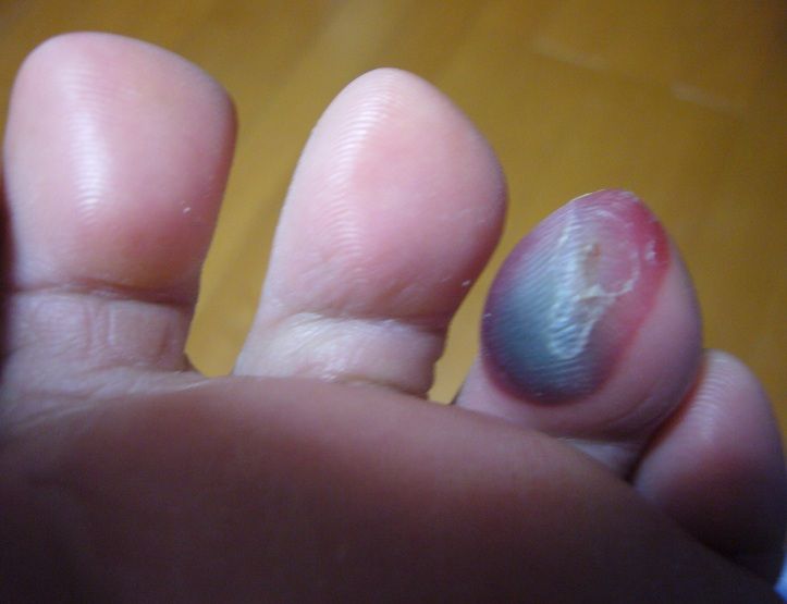 Fpようこ ダイアリー 株式会社 生活設計fpワーク 雑感