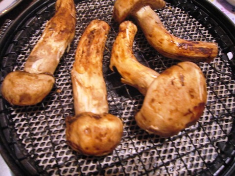 松茸