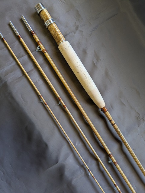 PXL_20260212_061707636